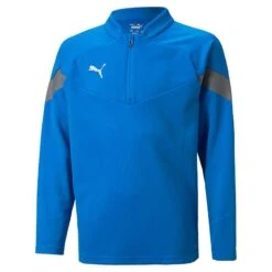 Puma Kids' Training 1/4 Zip Top Electric Blue Lemonade / Smoked Pearl / Silver