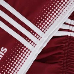 Kids' Nelson Shorts Maroon / White -Columbia Sales Store nels 179 3 gen mnwhxx p4