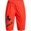 Under Armour Kids' UA Prototype 2.0 Logo Shorts Phoenix Fire / Black
