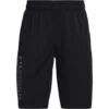 Under Armour Kids' UA Prototype 2.0 Wordmark Shorts Black / Pitch Grey