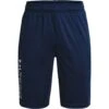 Under Armour Kids' UA Prototype 2.0 Wordmark Shorts Academy / Mod Grey